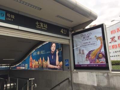 黛兰娜品牌形象广告在上海主要地铁口隆重上线