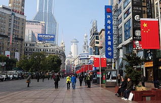 上海户外广告公共阵地拍卖与招标政策的发展与研究