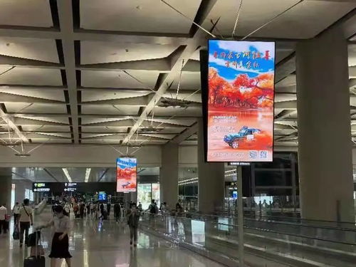 醉美金秋邀您同行 阿拉善宣传广告亮相上海虹桥国际机场